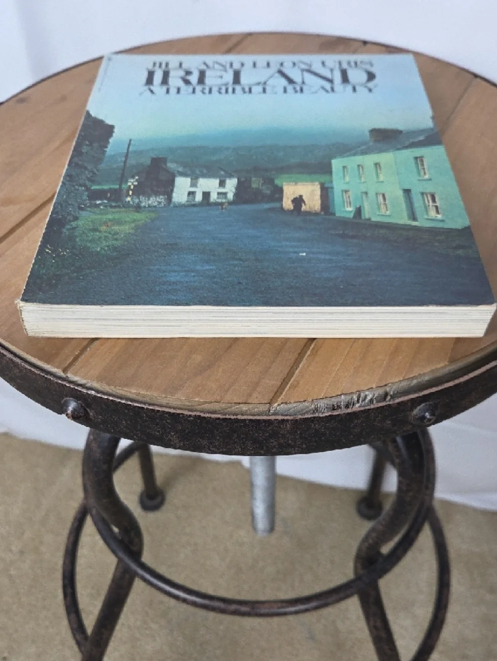 Ireland: A Terrible Beauty Vintage Photo Book Cover - Blue & Green